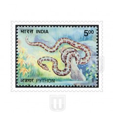 | Philcent #2175       SG # 2167              MJ No. 2009  | O