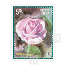  | Philcent #2391       SG #  2379         MJ No. 2247            | O