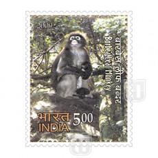  | Philcent # 2627       SG #  2626            MJ No. 2505           | O